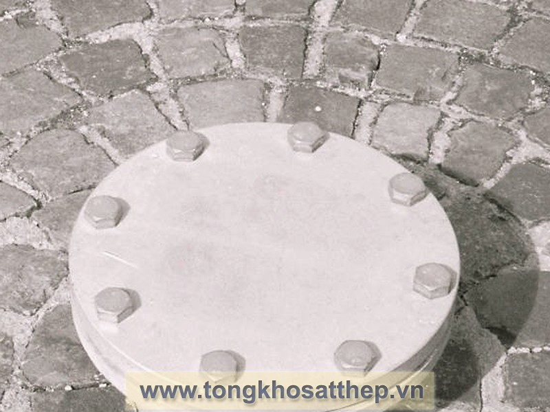 Bích Đặc Inox DN100 (Blind Flange) gallery 1