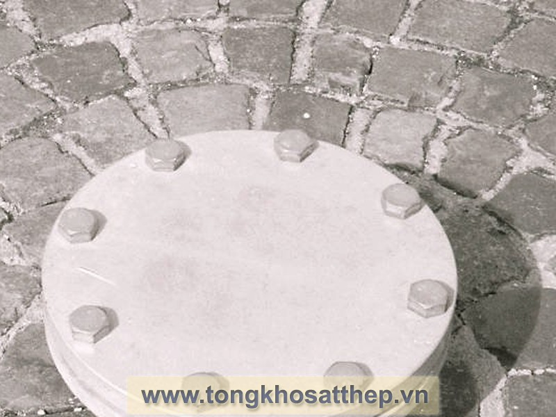 Bích Đặc Inox DN100 (Blind Flange) gallery 2