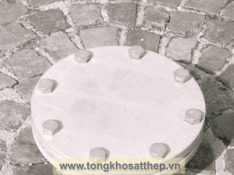 Bích Đặc Inox DN100 (Blind Flange) gallery 3