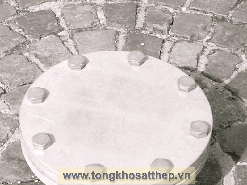 Bích Đặc Inox DN100 (Blind Flange) gallery 4