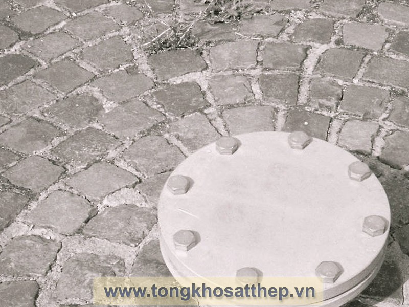 Bích Đặc Inox DN50 (Blind Flange) gallery 1