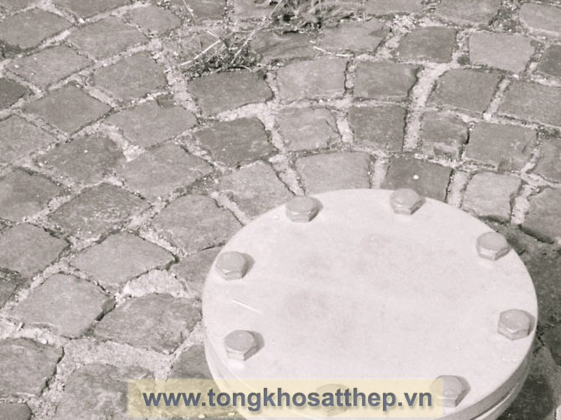Bích Đặc Inox DN50 (Blind Flange) gallery 2