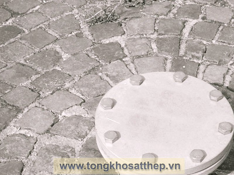 Bích Đặc Inox DN50 (Blind Flange) gallery 3
