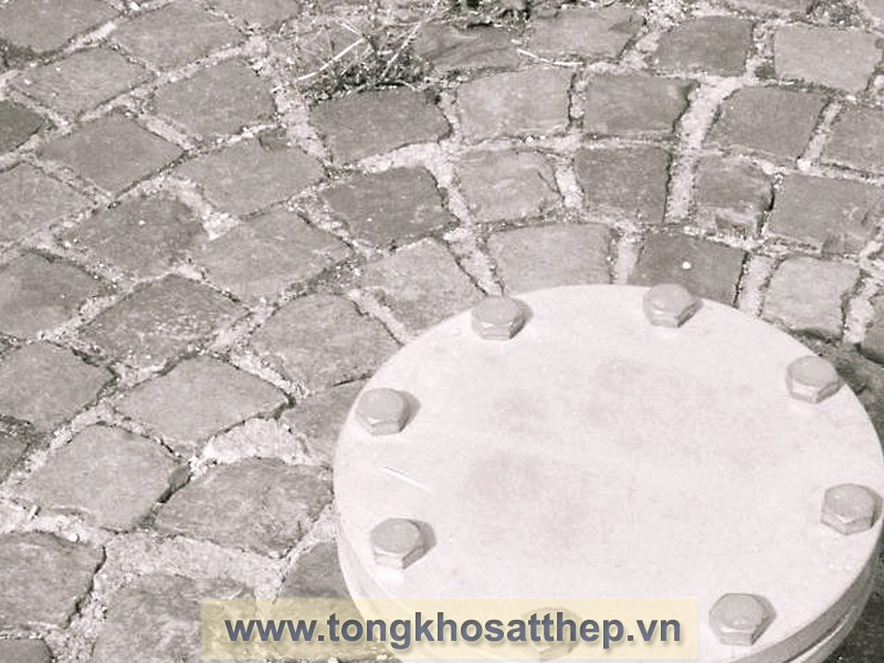 Bích Đặc Inox DN50 (Blind Flange) gallery 4