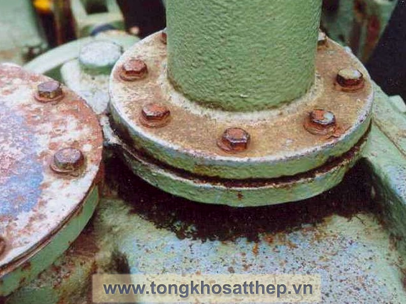 Bích Thép Rỗng DN400 (Threaded Flange) gallery 1