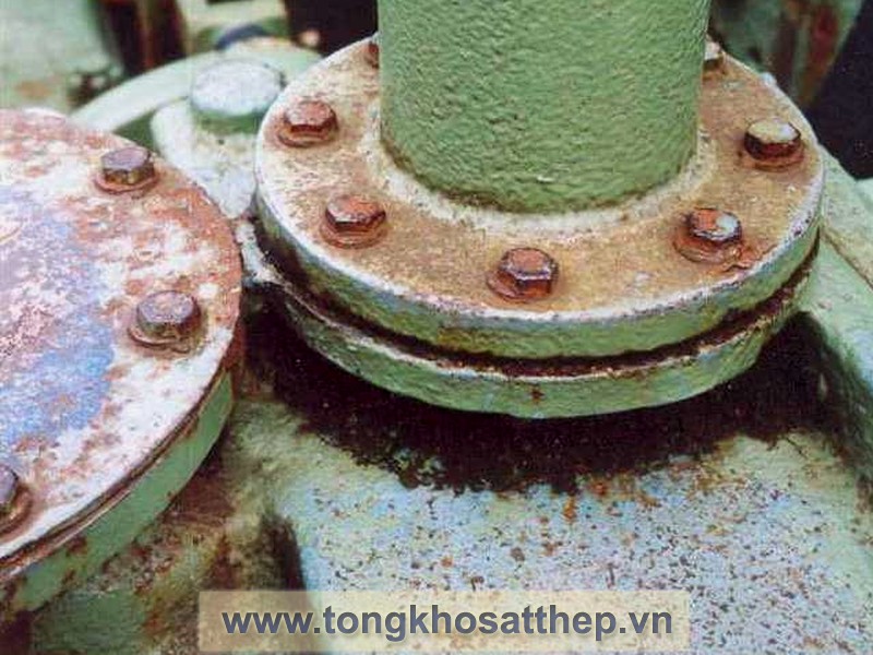 Bích Thép Rỗng DN400 (Threaded Flange) gallery 2