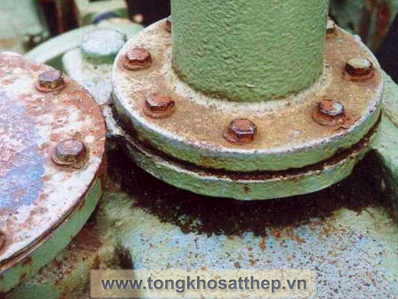 Bích Thép Rỗng DN400 (Threaded Flange) gallery 3